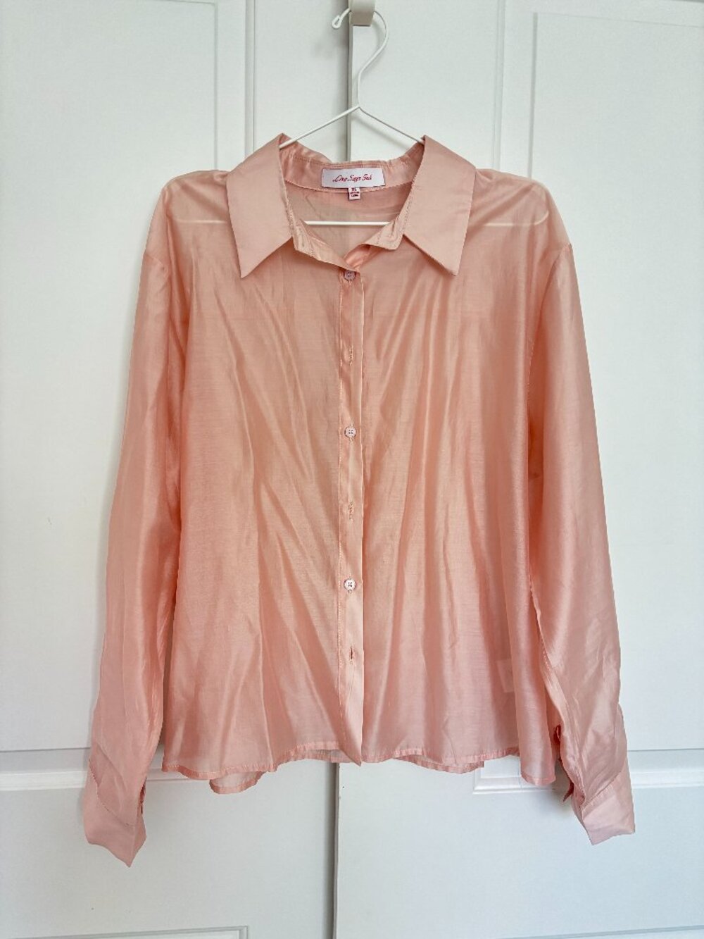 Lisa Says Gah Blush Pink Silk Blend Sheer Button Up Shirt XL